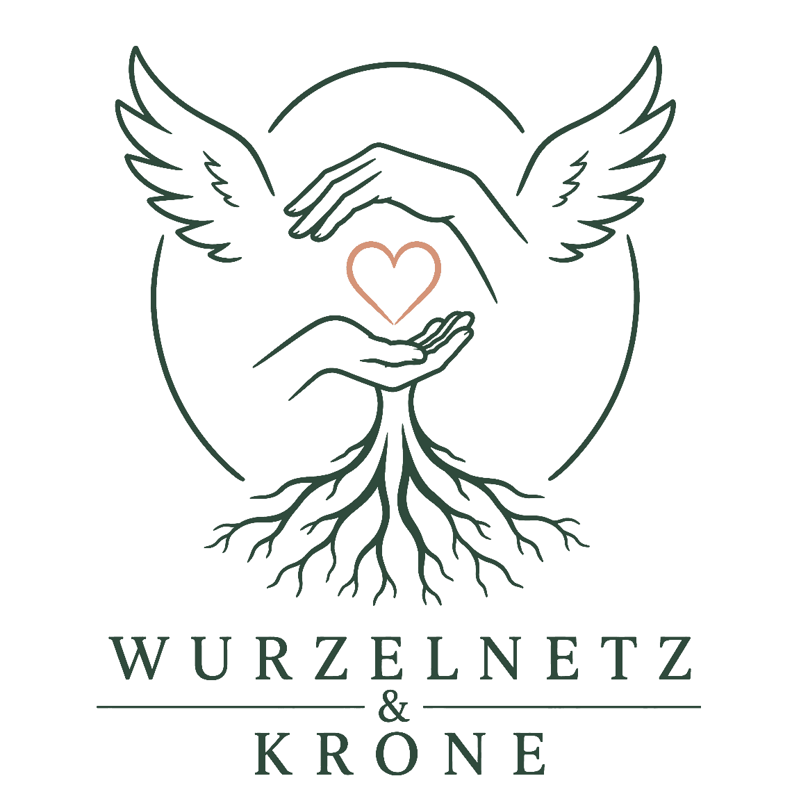 Wurzelnetz & Krone